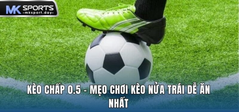 keo chap 0.5 1