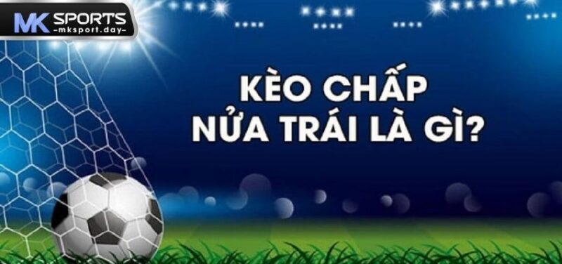 Kèo chấp nửa trái sở hữu mức thưởng cực hấp dẫn