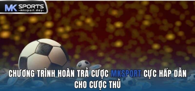 Chương trình hoàn trả cược MKSPORT